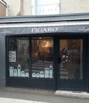 FIGARO (SARL)