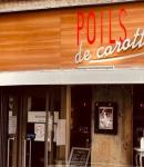 POILS DE CAROTT