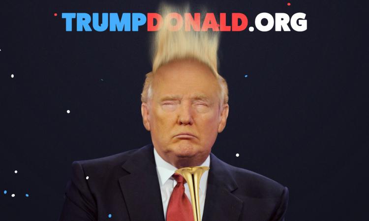 donaldtrump.org cheveux décoiffés